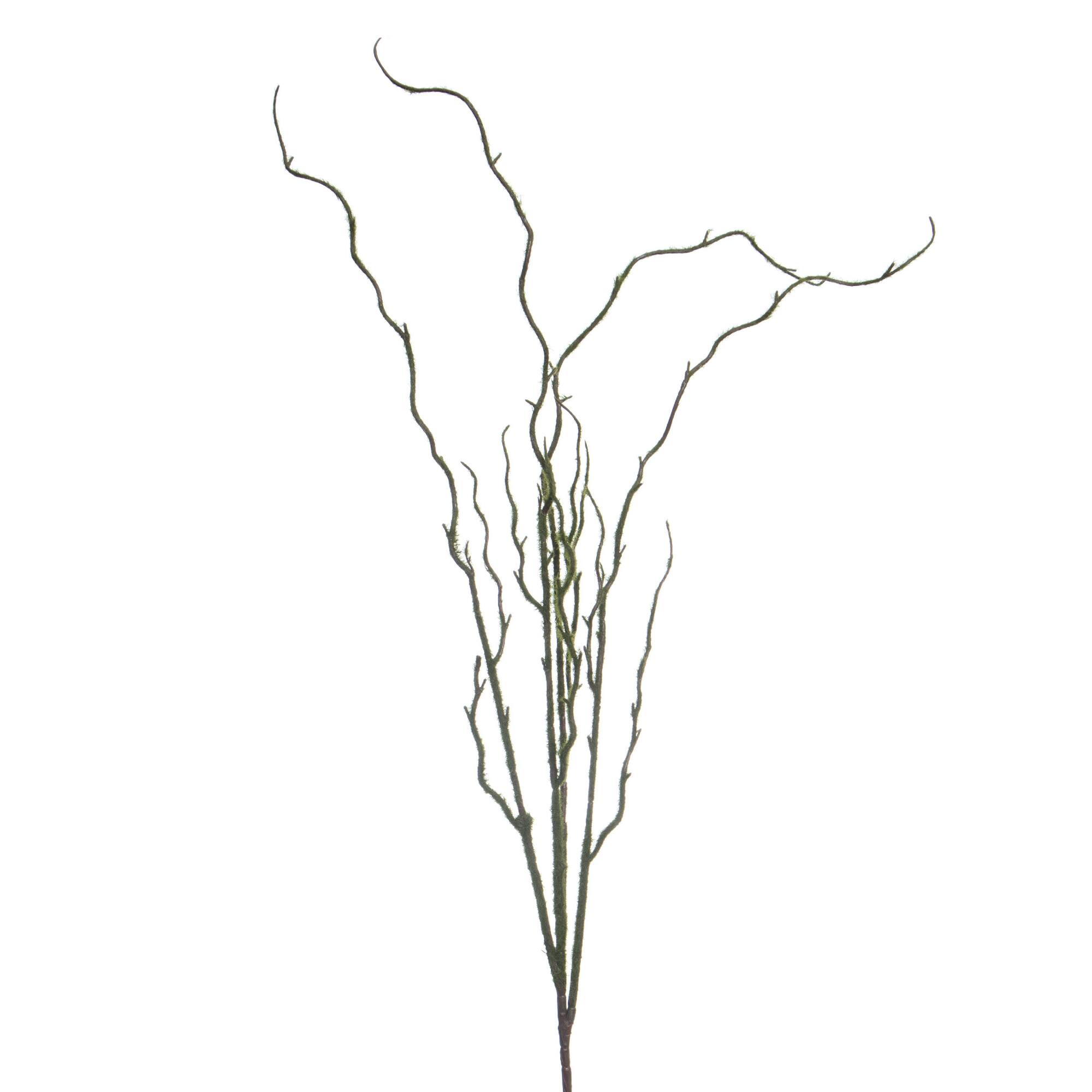 41.5" Moss Twig Stem by Ashland®